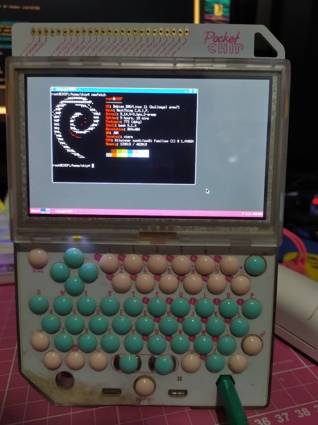 pocket chip with neofetch